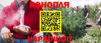 сатива Конаково