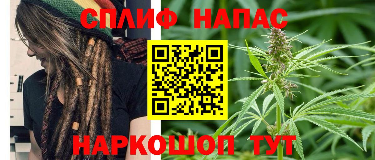 Каннабис семена  Бошки марихуана SATIVA & INDICA  Изобильный  Вход с VPN  Конопля Bruce Banner 